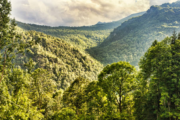 istock Awesome mountain forest panorama, top view of hills, mountains and valleys with different shades of green in a dramatic sky 1145710973