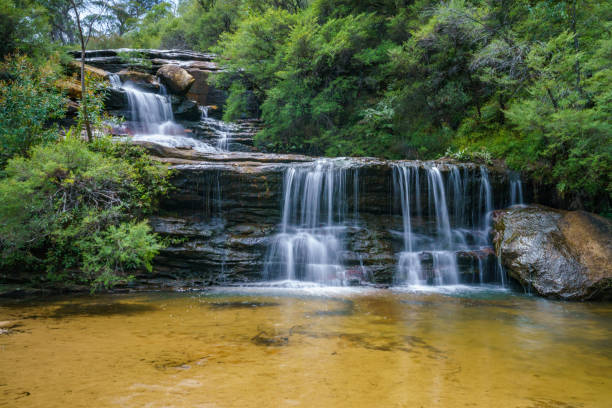 istock waterfall on undercliff walk, blue mountains national park, australia 3 1145711053