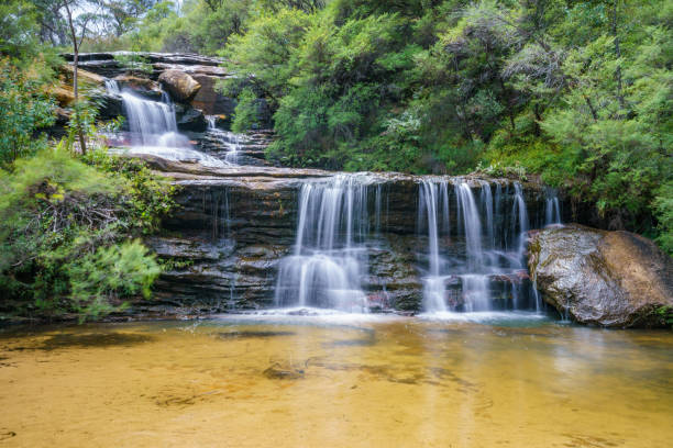istock waterfall on undercliff walk, blue mountains national park, australia 6 1145711125