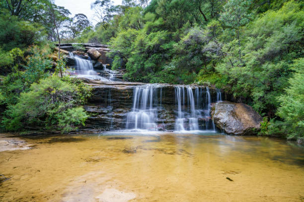 istock waterfall on undercliff walk, blue mountains national park, australia 9 1145711163