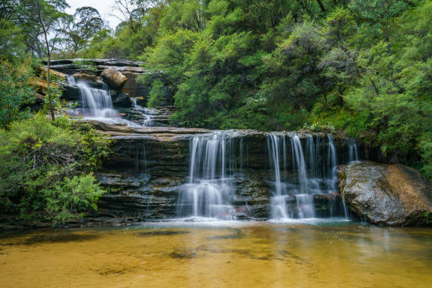 istock waterfall on undercliff walk, blue mountains national park, australia 11 1145711216