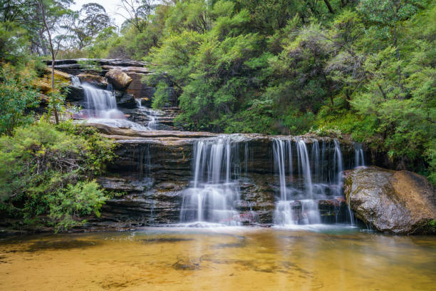 istock waterfall on undercliff walk, blue mountains national park, australia 14 1145711268