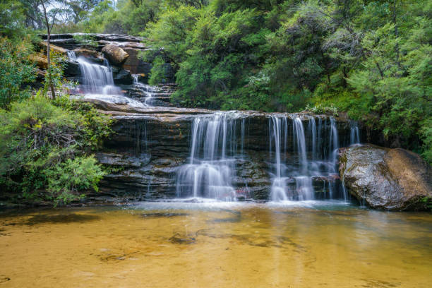 istock waterfall on undercliff walk, blue mountains national park, australia 5 1145711405