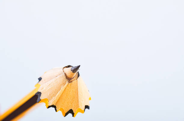 istock Back To school Concept, pencil with it shavings over white background 1145722398