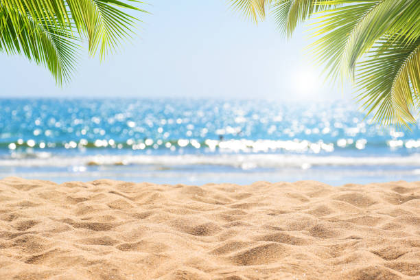 istock Tropical beach in summer for background 1145725901