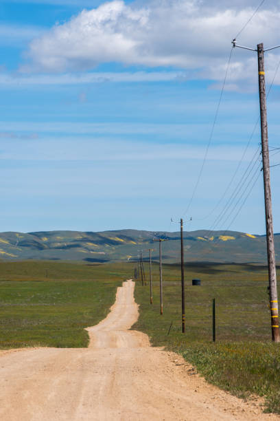 istock Dirt road on pasture land 1145728400