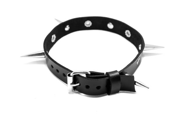 istock Black leather collar with spikes on a white background. Side view 1145735095