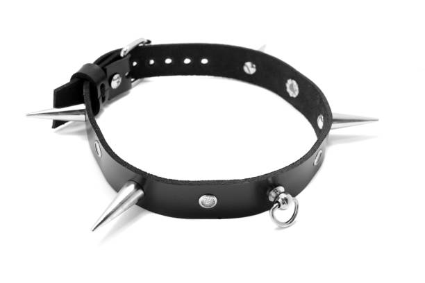 istock Black leather collar with spikes on a white background. Side view 1145735102