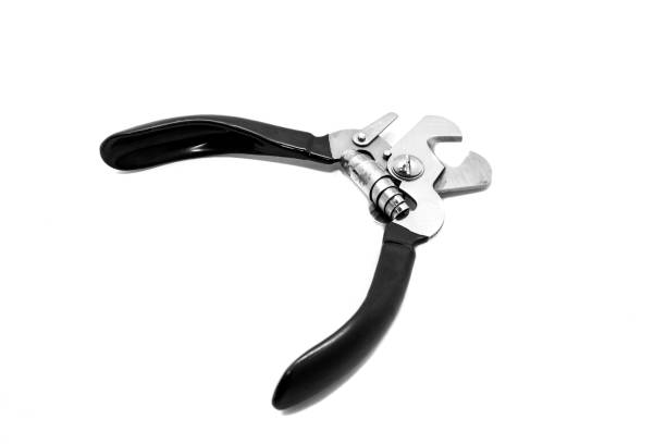istock Dog nail scissors isolated on white background 1145737226