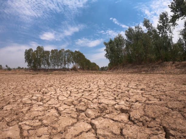 istock Dry soil in arid areas. 1145742803