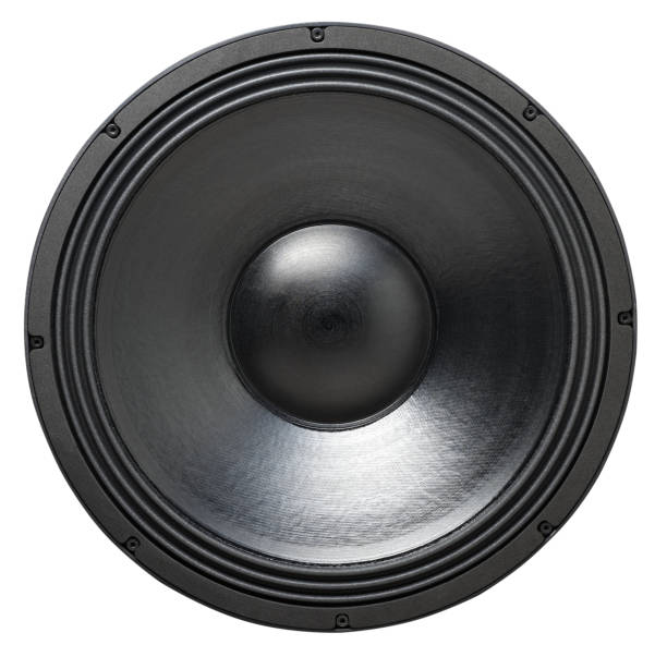 istock Professional subwoofer speaker 18 inches 1145745277