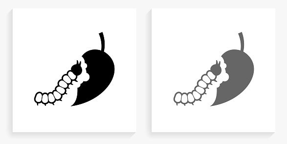 Caterpillar Black and White Square IconDocuments and Paper Clip Black and White Square Icon