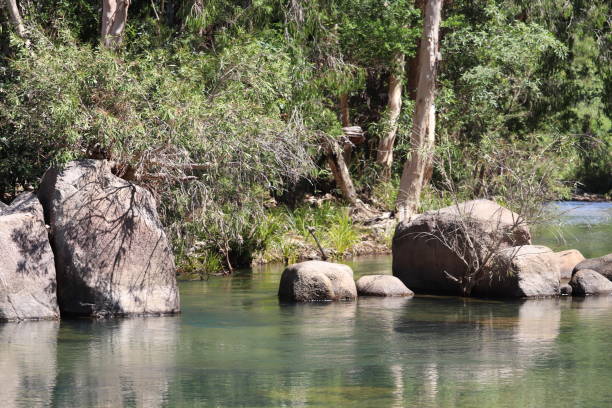 istock Focus on large rocks in Rolling stone river Townsville Australia 1145752466