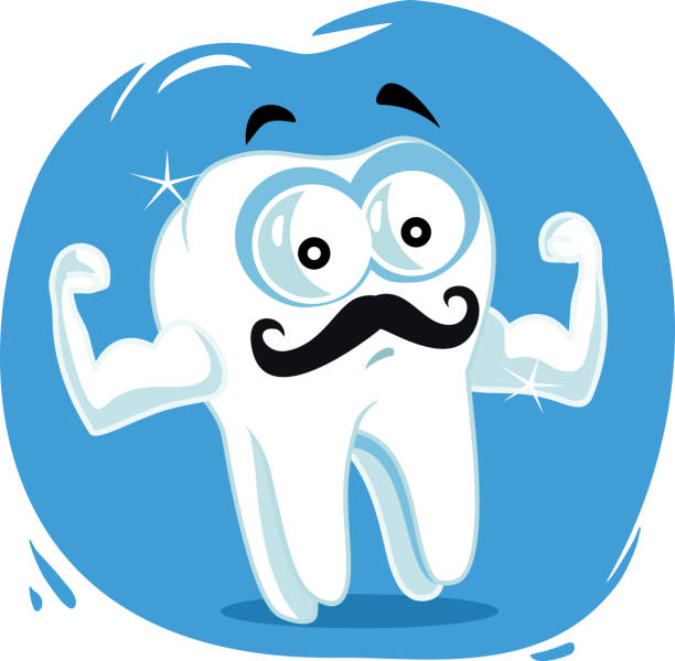 Strong Healthy Tooth Vector Cartoon Funny molar showing of its strength in oral care concept illustration cute cartoon dental implants stock illustrations
