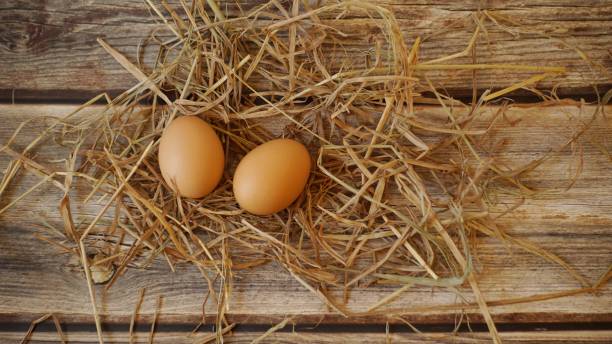 istock Chicken eggs and straw on wooden background 1145756738