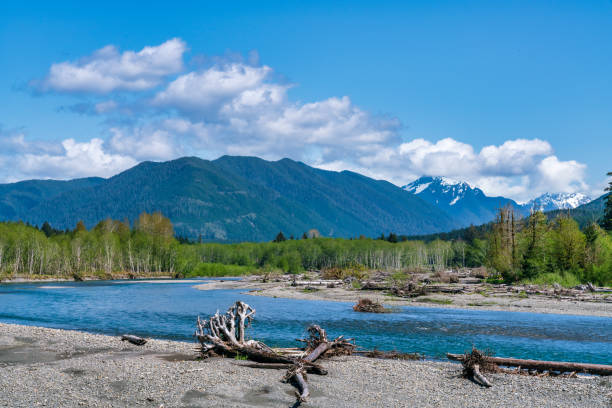 istock Olympic Mountains Above Hoh River In Olympic National Park 1145759679