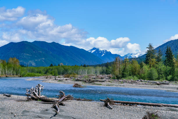 istock Olympic Mountains Above Hoh River In Olympic National Park 1145760036