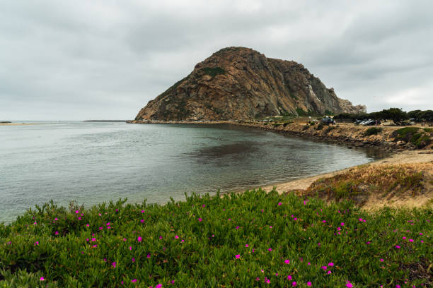 morro rock au parc d’état de morro bay, côte californienne. - vibrant color summer rock cliff photos et images de collection