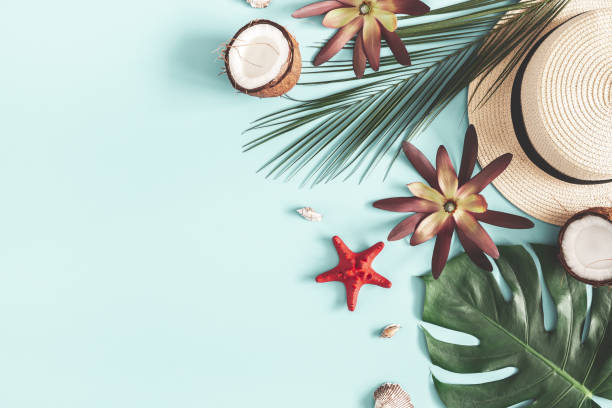 istock Summer composition. Tropical palm leaves, hat, coconut on pastel blue background. Summer concept. Flat lay, top view, copy space 1145765406