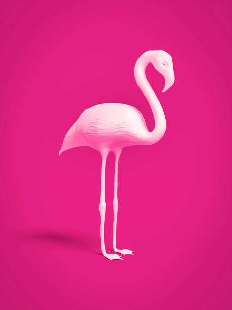 istock white flamingo on pink background 1145770088