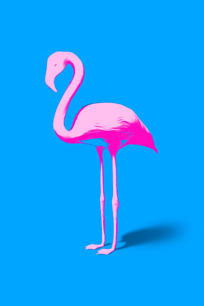 istock pink flamingo on turquoise background 1145770098
