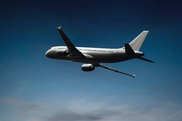 3d illustration of a plane in the night sky