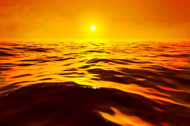 Beautiful sunset