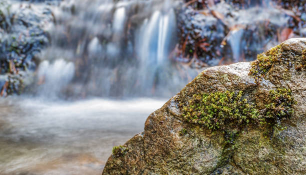 ładna scena ze skałą na pierwszym planie i wodospadowym tle - natural phenomenon waterfall rock tranquil scene zdjęcia i obrazy z banku zdjęć