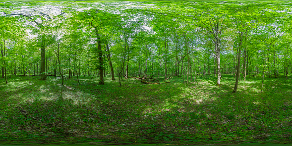 360 degrees spherical panoramic shot of green park in the springtime