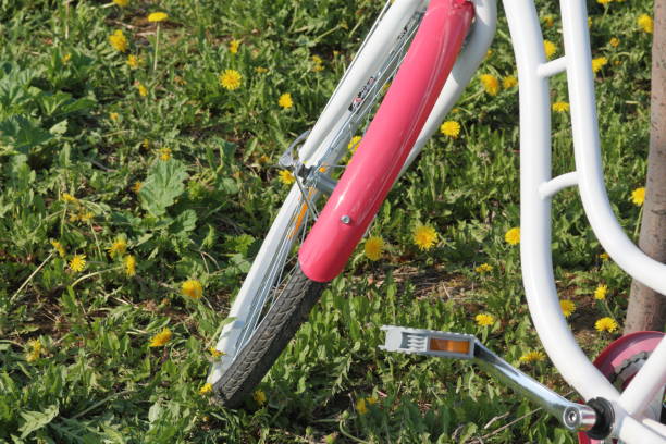 istock Bicycle stands in the spring glade. Dandelions are blooming. 1145777039