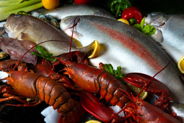 various raw seafood including lobster, salmon fish and squid - lobster cracker imagens e fotografias de stock