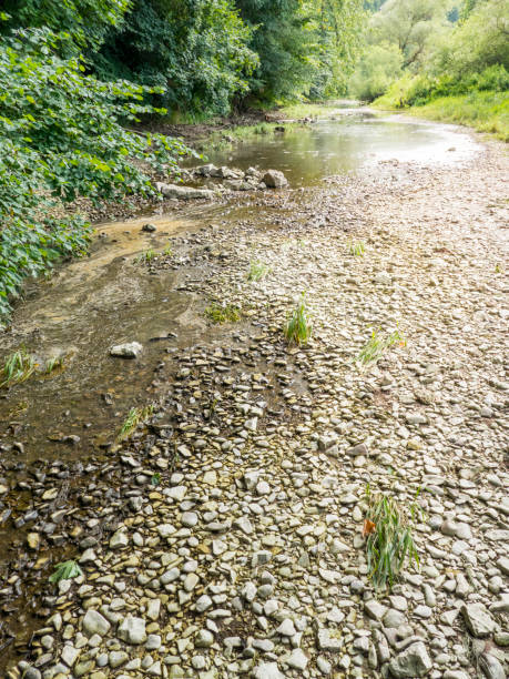 istock the Danube seepage at Donaueschingen Germany 1145778447