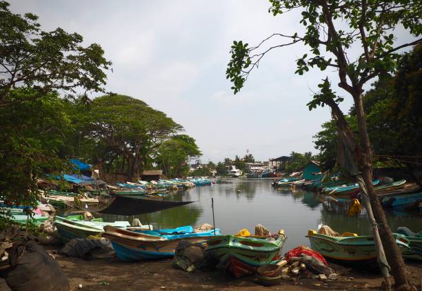 istock Dirty small boat harbor, Negombo Sri Lanka 1145779660