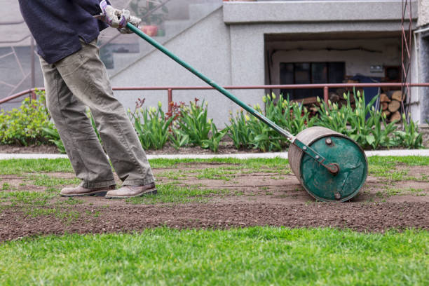 Man in working outfit pulls lawn roller behind. Necessity after long winter and spring for flat surface. Landscaping on the garden. Summer worker. stock photo