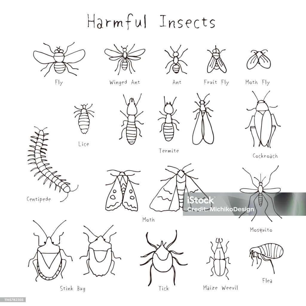 Set of harmful insects hand drawn illustration Drawing - Activity stock vector