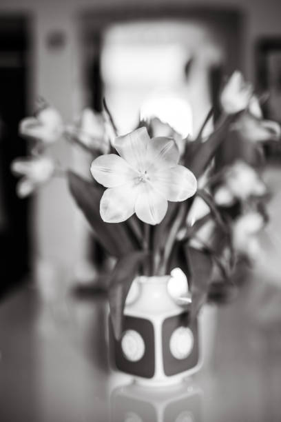 istock Flowers in vase, black and white 1145782368