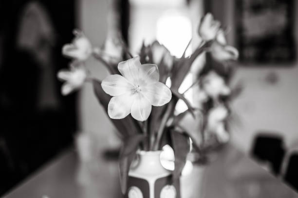 istock Flowers in vase, black and white 1145782408