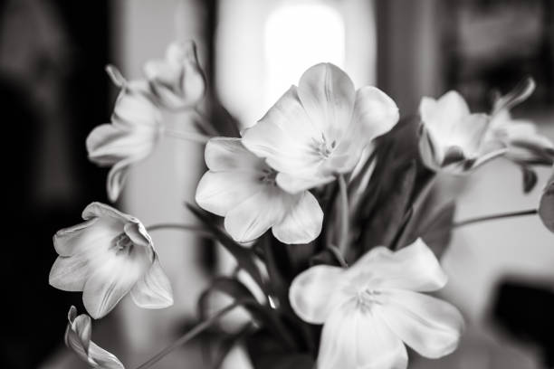 istock Flowers in vase, black and white 1145782449