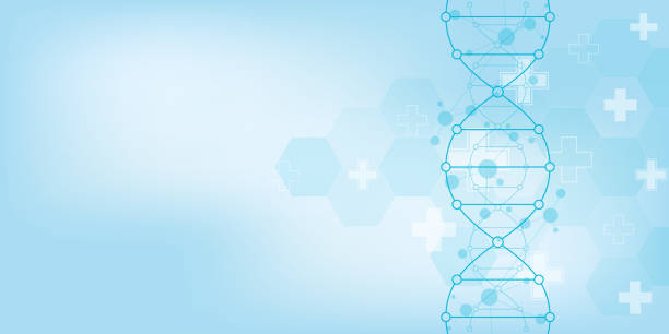 istock DNA strand background and genetic engineering or laboratory research. Medical technology and science concept. 1145783086