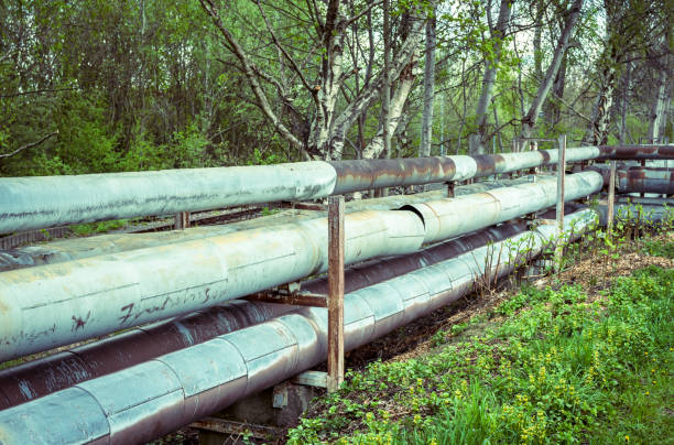 istock old pipelines in nature 1145783116