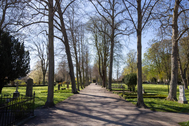 istock Old Cemetery in Malmo, Sweden 1145787616