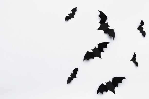 1,100+ Origami Bat Stock Photos, Pictures & Royalty-Free Images - iStock