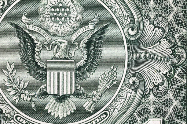 closeup of back side of 1 dollar bill - us paper currency fotos imagens e fotografias de stock