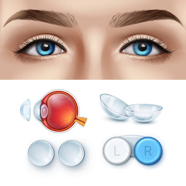 ilustraciones, imágenes clip art, dibujos animados e iconos de stock de oftalmología conjunto realista de lentes de contacto y ojo humano - lens box