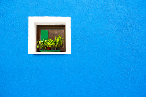 Window with flowers on the blue wall. Colorful architecture in Burano island, Venice, Italy.