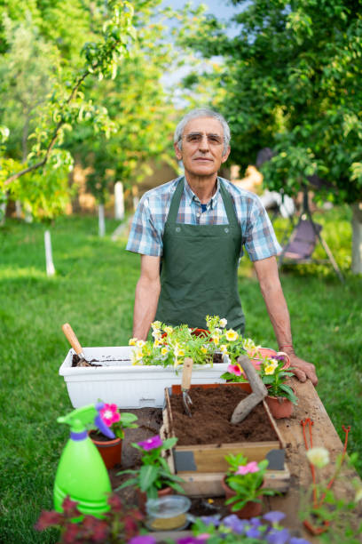 istock Senior farmer standing in flower garden 1145795033