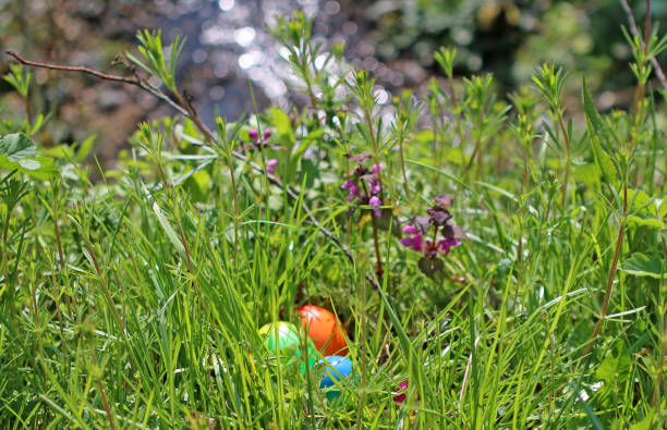 Easter eggs hidden all over a forest in northwestern Switzerland.