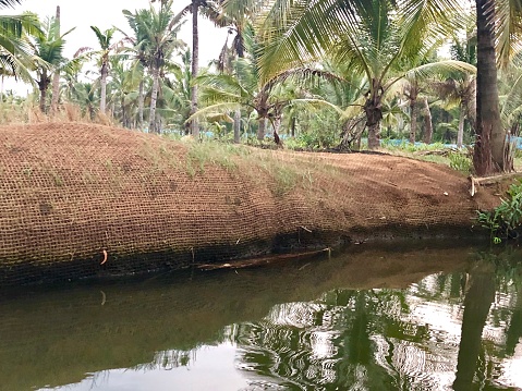 Hessian used as a defence against soil erosion of the embankments of the Kerala Backwaters, India, brackish lagoons, lakes and canals.