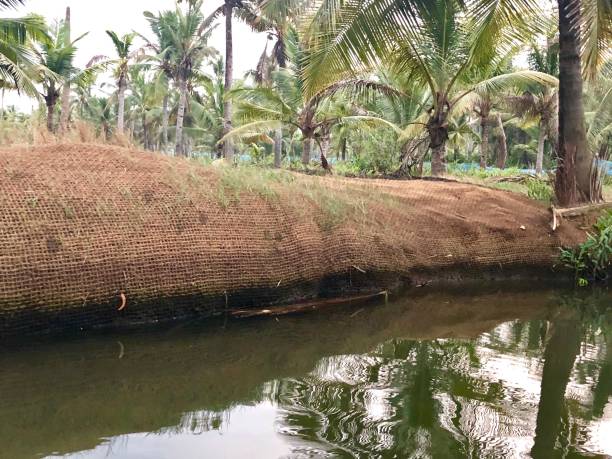 Image of hessian defence against riverbank erosion Kerala Backwaters, India Hessian used as a defence against soil erosion of the embankments of the Kerala Backwaters, India, brackish lagoons, lakes and canals. erosion control stock pictures, royalty-free photos & images