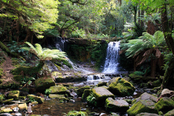 istock Horseshoe Falls - Mount Field National Park 1145799826